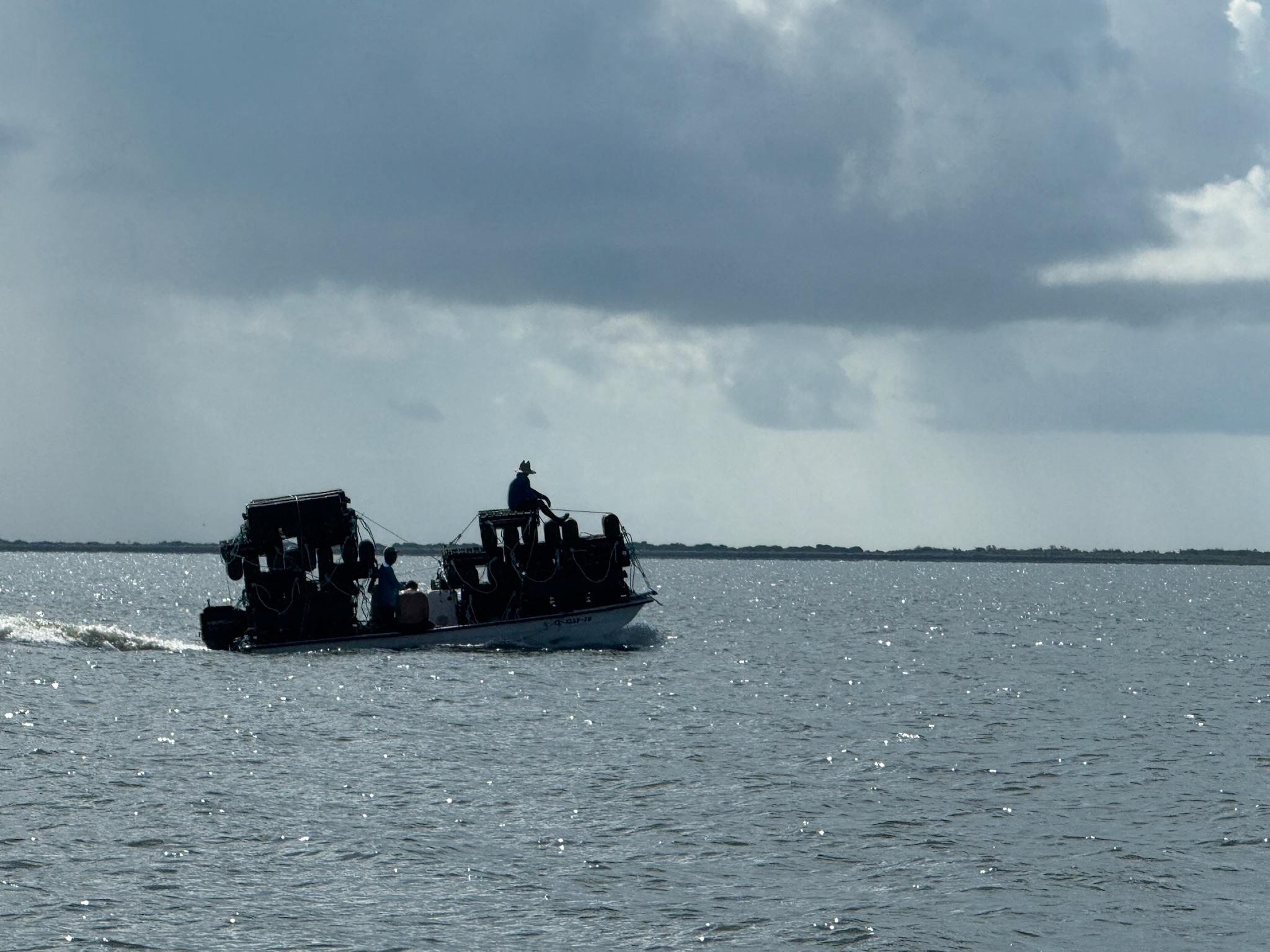 Marine habitat created by oyster farming