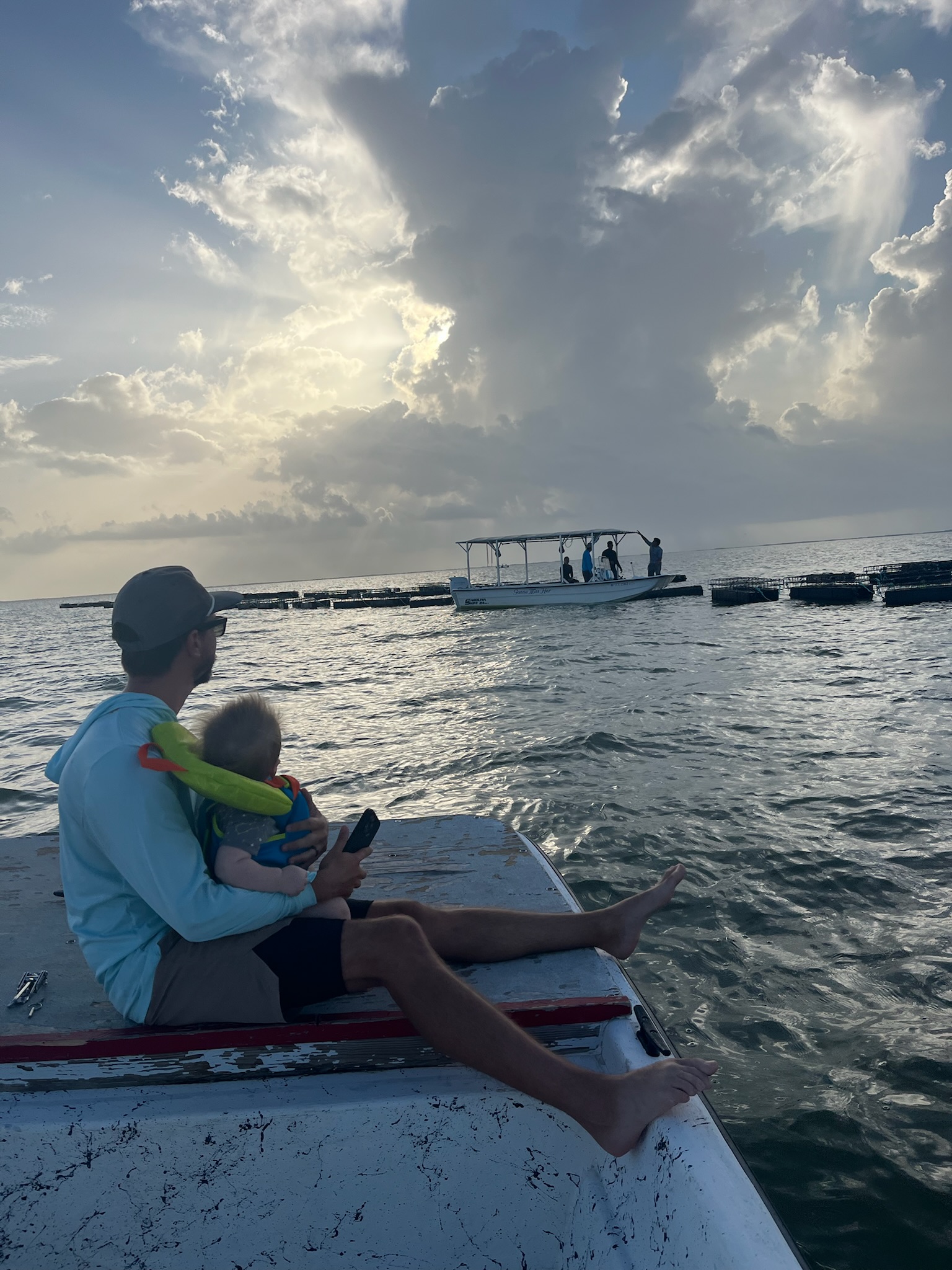 Seasonal fresh oysters